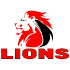 Lions Flag