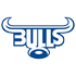 Bulls Flag