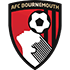 AFC Bournemouth Flag