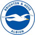 Brighton & Hove Albion Flag