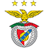 Benfica Flag