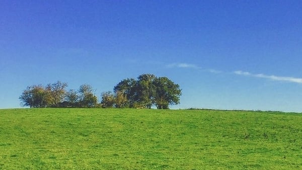 A ringfort in Co Tipperary: 