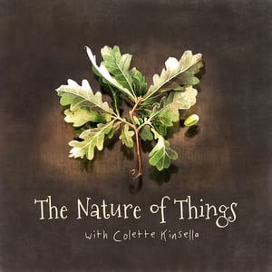 The Nature of Things