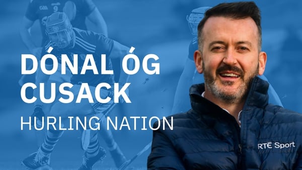 'It's possible to love all sports but recognise that in this country hurling is more than just another sport. It needs to be ring-fenced, protected, and nurtured. Hurling needs oxygen.'